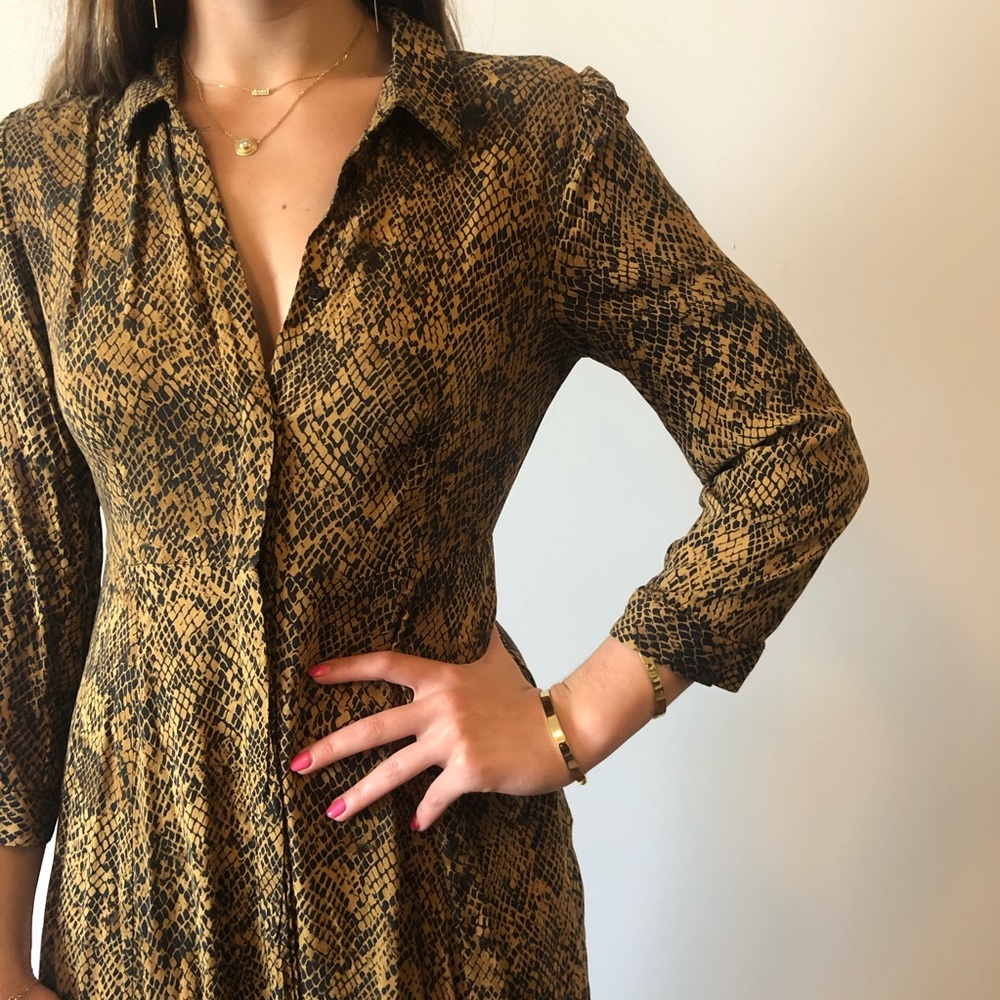 Zara Snake Print Maxi Dress